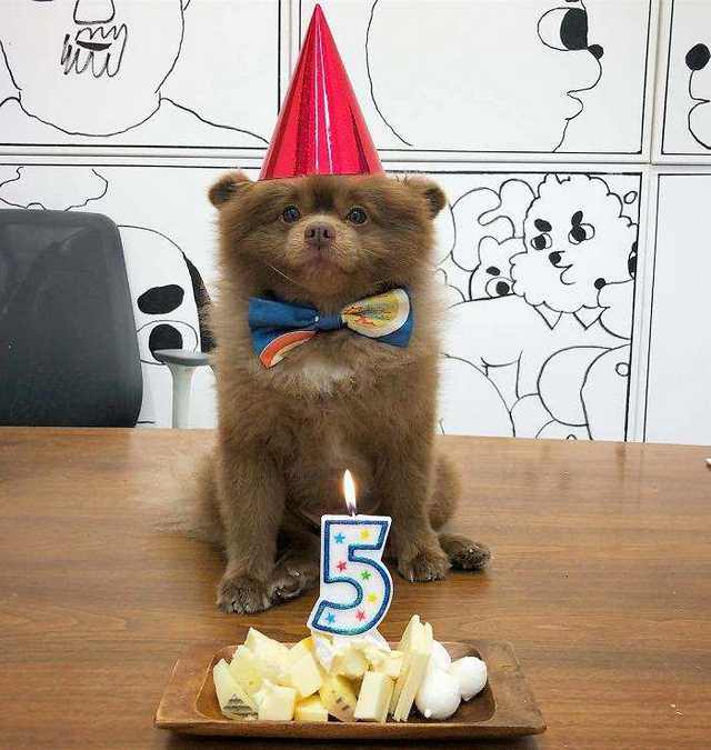 Puppy Dog at birthday